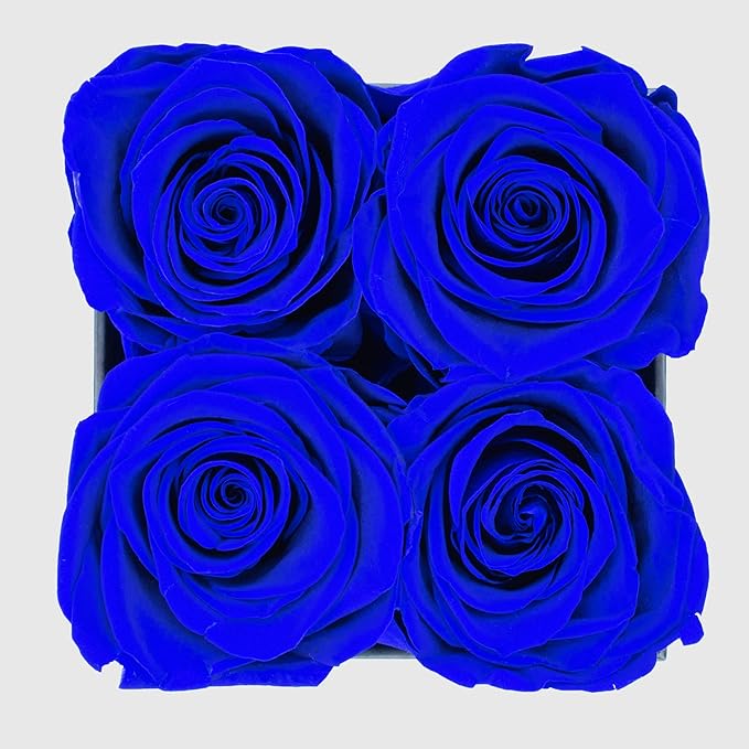Graceful Fleurs | Real Long Lasting Roses for Years | Preserved Fresh Flowers for Delivery Birthday | Birthday Gifts for Women | Forever Roses in a Box (Blue, Black Box, 4 Roses)