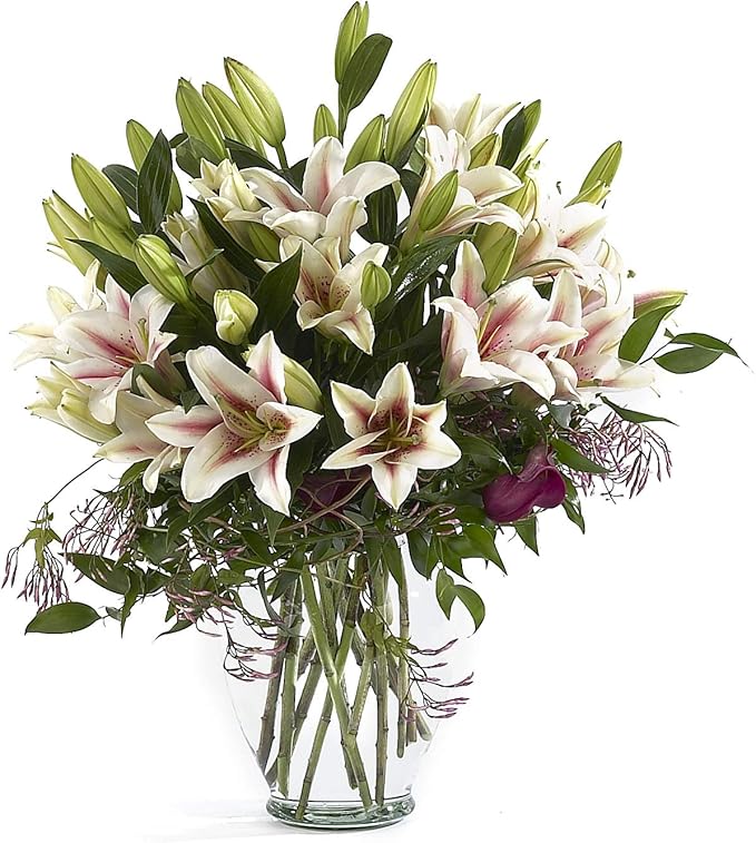 Floral Supply Online 10 5/8" Spring Garden Vase and Flower Guide Booklet- Decorative Glass Flower Vase for Floral Arrangements, Weddings, Home Decor or Office. (Clear)