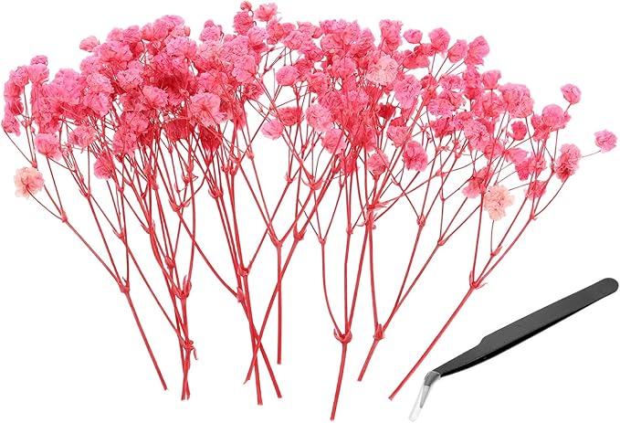 PATIKIL Mini Dried Gypsophila Flower Kit, 30Pcs 4 Inch Light Pink Natural Pressed Floral Bundles with Tweezer for DIY Resin Crafts Gift Wedding Christmas Card Decor Flower Bouquets