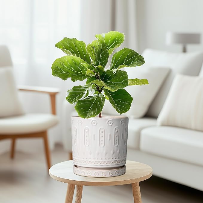 Eightpot Ceramic Planter for Indoor Plants - 8 Inch Plant Pot Outdoor Flower Pot with Drainage Holes and Saucer Modern Round Planter Succulent Pot for Home Garden Decor White