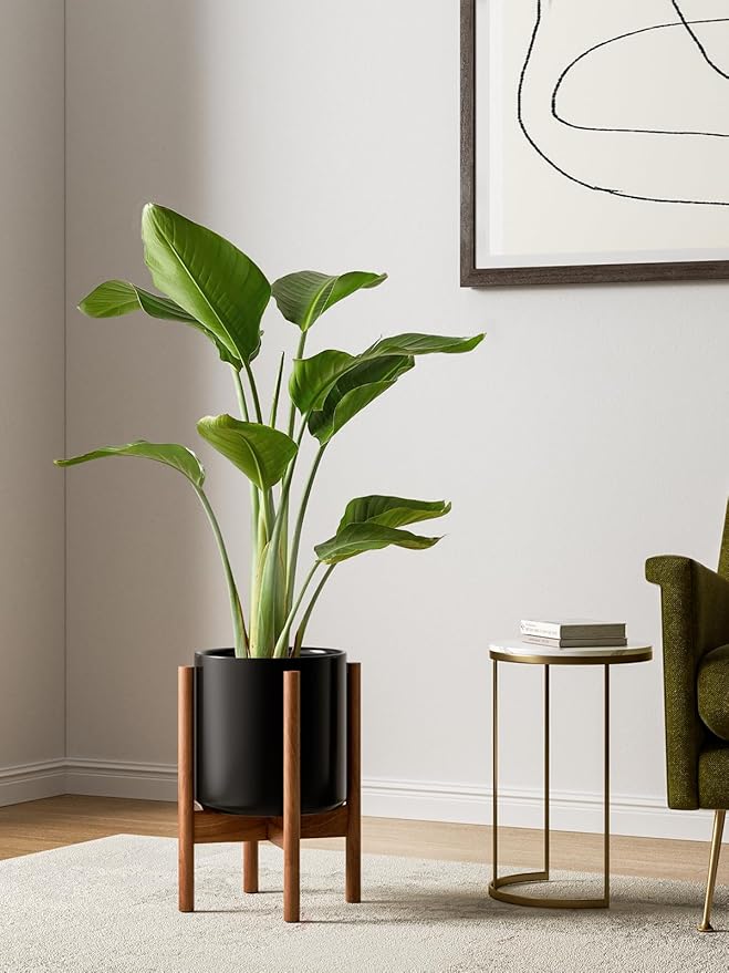 LE TAUCI 12 Inch Planter with Acacia Wood Stand, Large Ceramic Indoor Plant Pot with Drainage Hole & Plug, Mid Century Modern Plant Holder for Fiddle Leaf Fig, Monstera, Snake Plant, Black