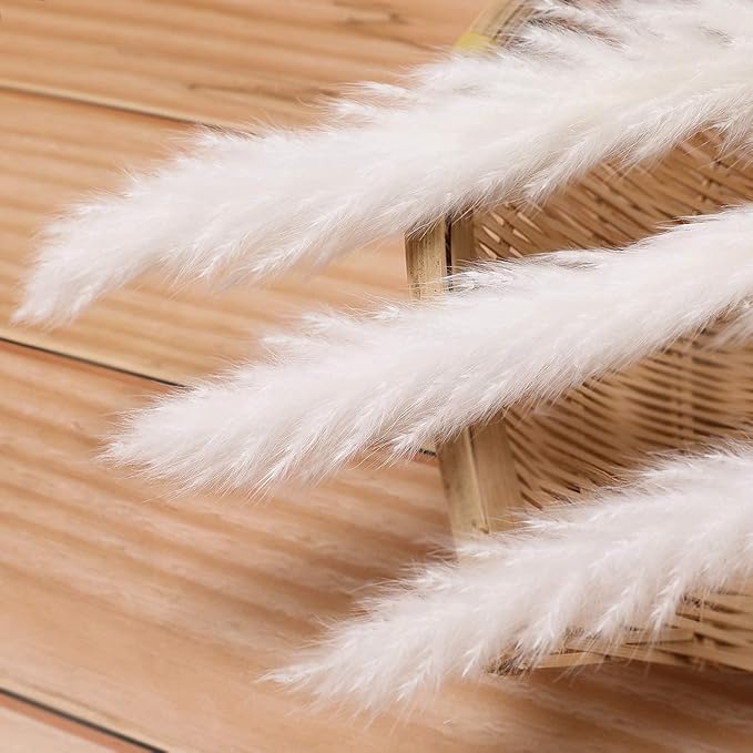 60 Pcs White Pampas Grass ,17 inch/45 cm Natural Dried Pampas Grass Branches Decor for Home Kitchen Garden Party Photographing Flower Arrangement Vase Decor（White
