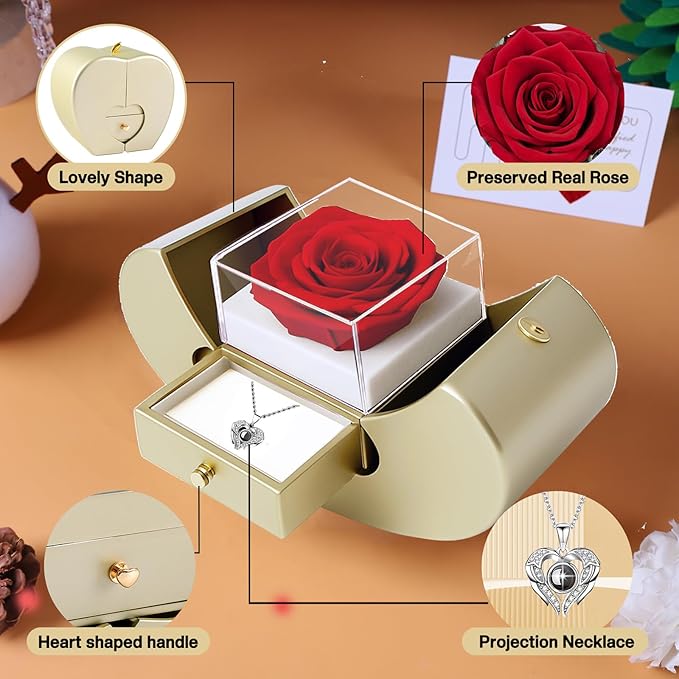moshen Preserved Rose Set with I Love You Necklace 100 Languages, Gifts for Wife Girlfriend Mom Women Her (beige)
