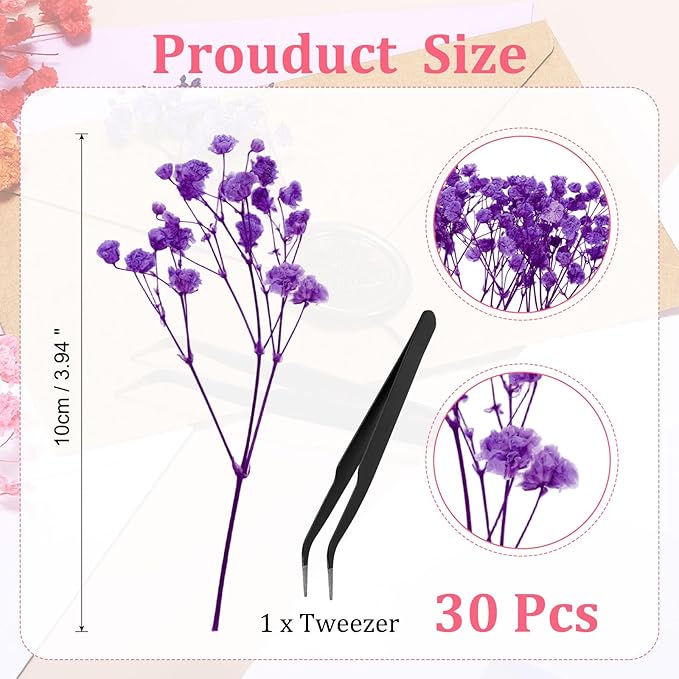 PATIKIL Mini Dried Gypsophila Flower Kit, 30Pcs 4 Inch Rose Purple Natural Pressed Floral Bundles with Tweezer for DIY Resin Crafts Gift Wedding Christmas Card Decor Flower Bouquets