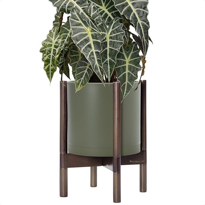 D'vine Dev Planter Pot with Stand - 10 Inch Plastic Cylinder Flower Pot with Wood Planter Holder for Indoor, Olive Pot + Walnut Color Stand, 55-C-L-3