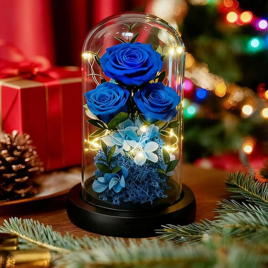 Birthday Gifts for Women Mom Fresh Flowers for Delivery Prime Forever Preserved Rose in Glass Dome Gifts for Her Girlfriend Grandma Daughter Wife Valentines Mothers Day Christmas Anniversary-Blue