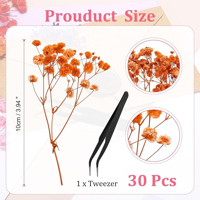 PATIKIL Mini Dried Gypsophila Flower Kit, 30Pcs 4 Inch Orange Natural Pressed Floral Bundles with Tweezer for DIY Resin Crafts Gift Wedding Christmas Card Decor Flower Bouquets