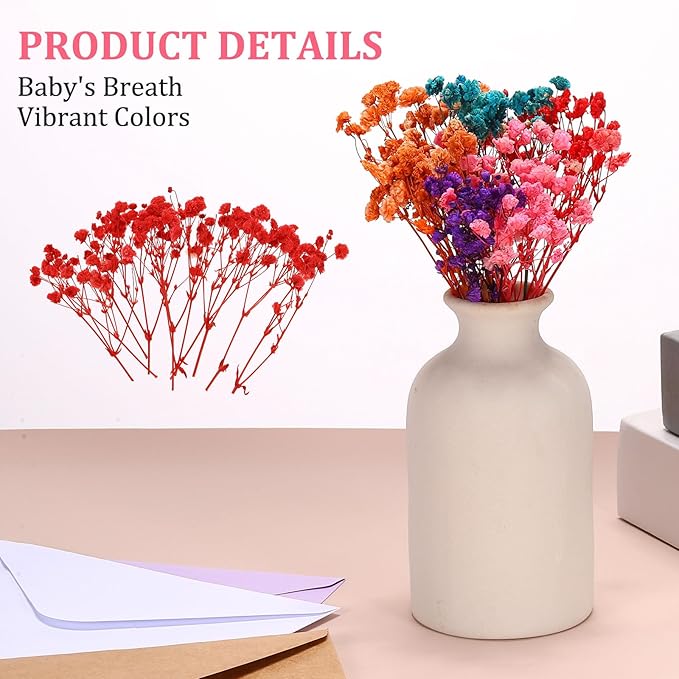 PATIKIL Mini Dried Gypsophila Flower Kit, 30Pcs 4 Inch Red Natural Pressed Floral Bundles with Tweezer for DIY Resin Crafts Gift Wedding Christmas Card Decor Flower Bouquets