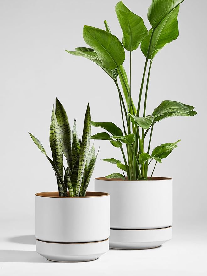 LE TAUCI 14 Inch Large Plant Pot with Saucer, Ceramic Outdoor & Indoor Big Planter with Drainage Hole, Mesh Pad & Plug Included, Matte Glazed Outside, Modern for Home and Patio, Alpine White & Ochre