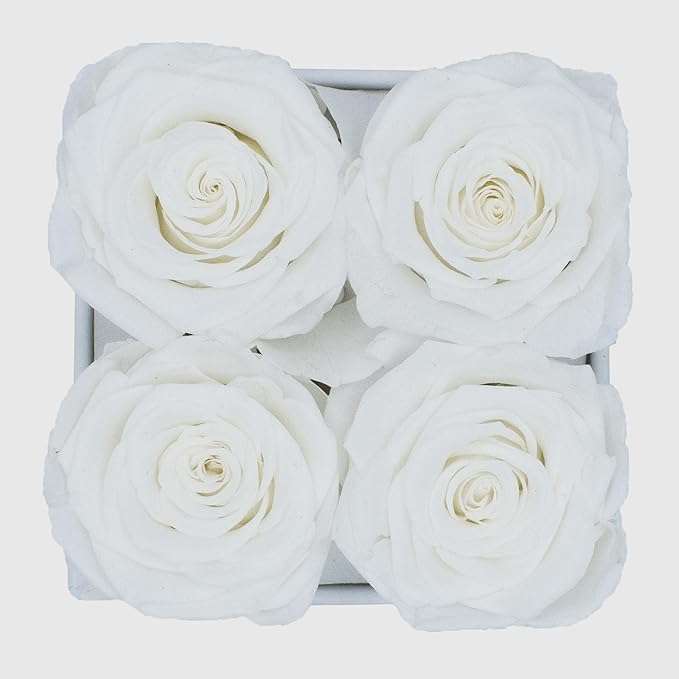 Graceful Fleurs | Real Long Lasting Roses for Years | Preserved Fresh Flowers for Delivery Birthday | Birthday Gifts for Women | Forever Roses in a Box (White, White Box, 4 Roses)