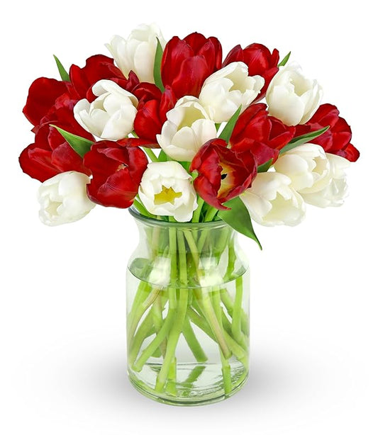Benchmark Bouquets - 20 Stem Seasonal Tulips (Glass Vase Included) - Fresh Flowers for Next Day Delivery - Gift for Christmas, Birthday, Anniversary, Get Well, Congratulations, Valentine's Day