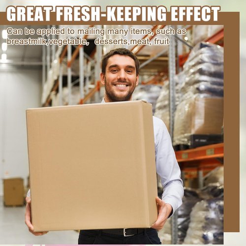 Henoyso Large Insulated Shipping Box - 5 Pcs 19" x 12" x 16" for Frozen Food with Foil Liner