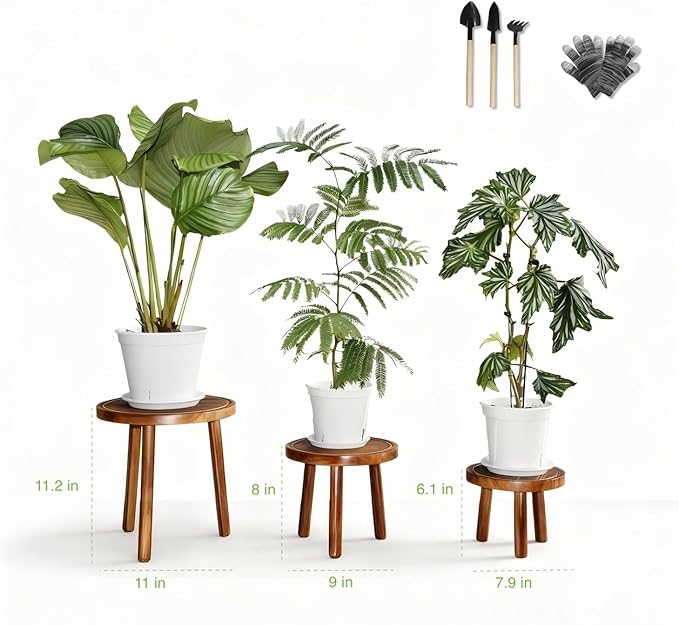 3 PCS Wood Plant Stands Indoor, Three Sizes of Plant Stands Suitable for 6-15 Inch Pots, Single Plant Holder and Wood Stool, Mid-century Modern Plant Pot Stand, Tall and Short Flower Pot Stand