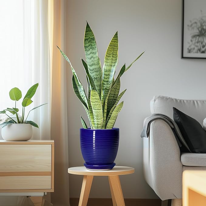 Ceramic Plant Pot - 6 Inch Pots for Plants, Round Ceramic Planters with Drainage Hole and Saucer, Decorative Flower Pots for Indoor Plants, Room Desk Decor, Housewarming Gifts, Glossy Blue