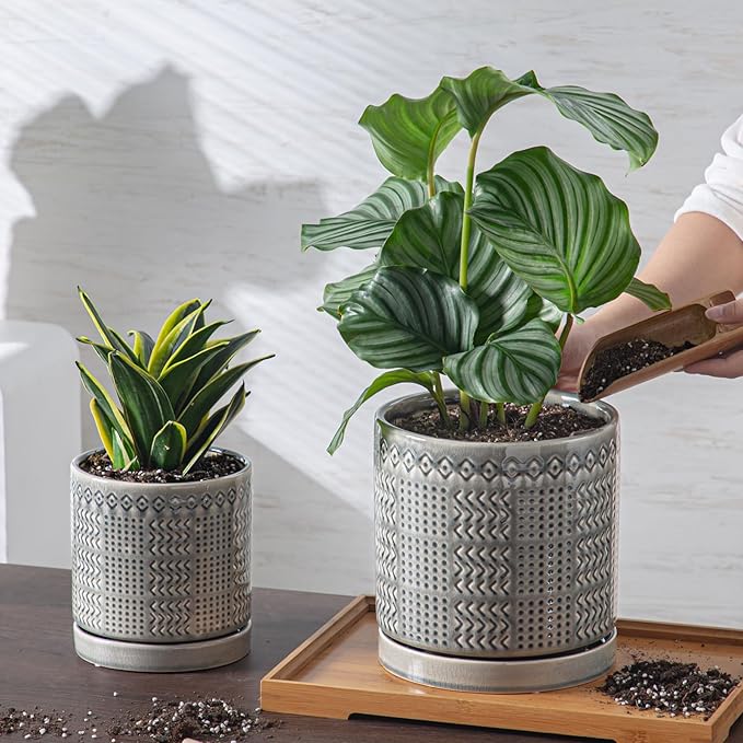 Indoor-Outdoor Ceramic Plant Pots: 6 Inch Flower Pots with Drainage Hole & Saucer - Decorative Ceramic Pots for Plants Herbs Succulents - Home Garden Patio Lawn Use