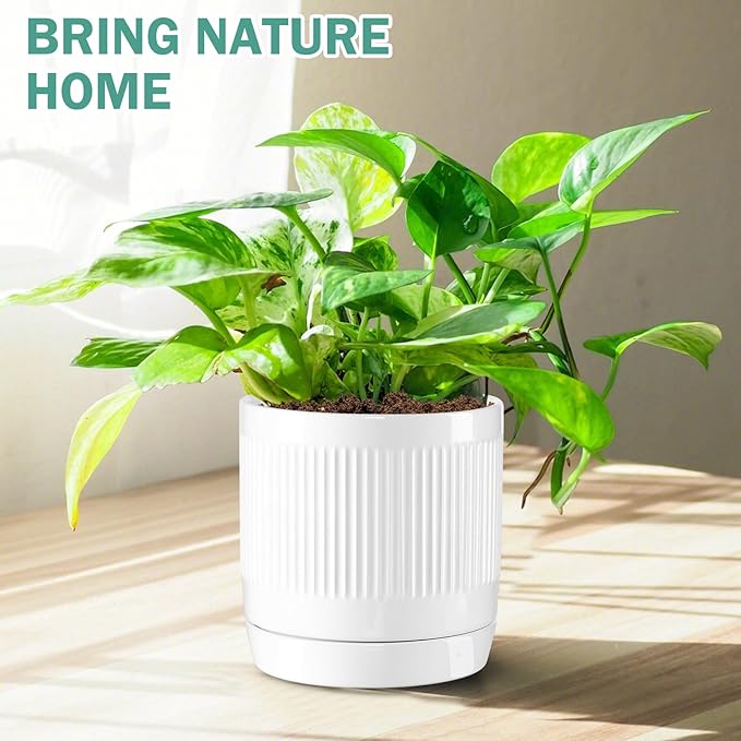 Vanavazon 6 Inch Glazed Ceramic Plant Pots with Drainage Hole and Saucer, Cylinder Indoor Planters for All House Plants, Modern Decor for Home & Office, Set of 2 (White)