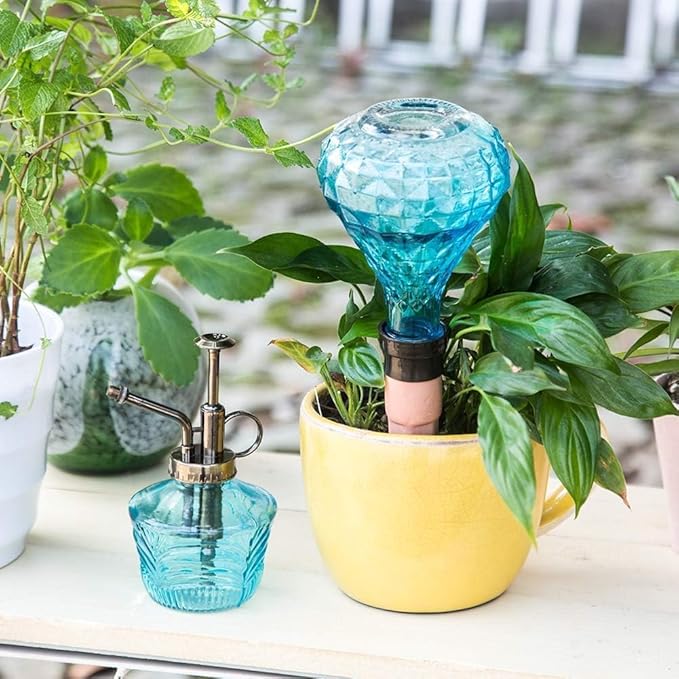 Glass Mini Watering Can & Self - Watering Globe Set - Flower Water Spray Bottle with Terracotta Spike, Perfect Plant Watering Gift for Indoor Outdoor Gardens