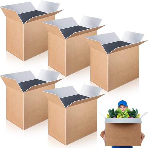 Henoyso Large Insulated Shipping Box - 5 Pcs 19" x 12" x 16" for Frozen Food with Foil Liner