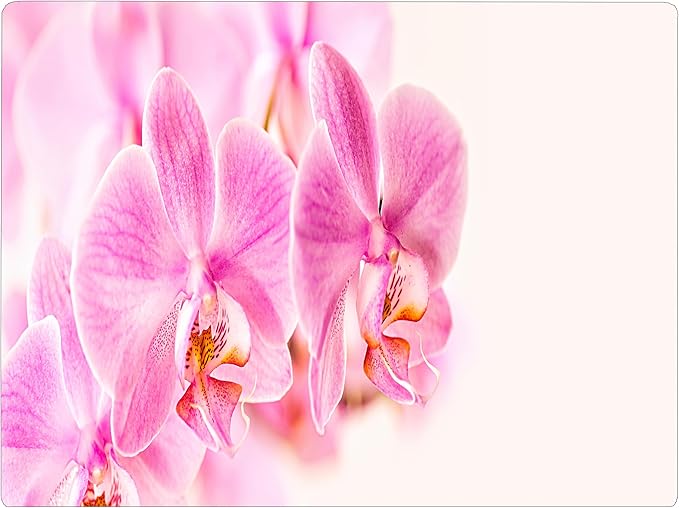 Orchid Floral Pattern Flower Love Kitchen Glass Cutting Board Decorative Valentine's Mother's Day Gift For Her Flowers (Orchid)