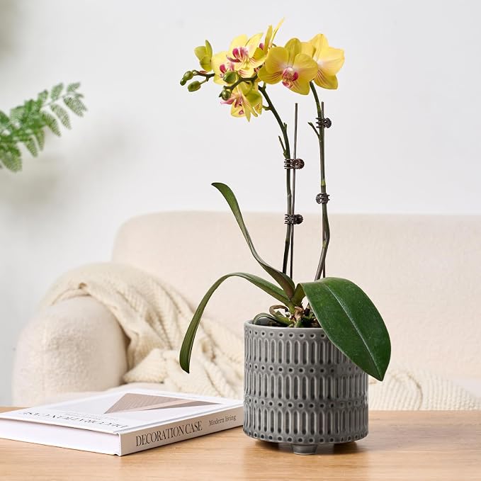 STHIE 5 Inch Ceramic Planters for Indoor Plants, Gray Cactus Snake Plant Pots with Drainage, Unique Design Round Flower Pot for Home Decoration
