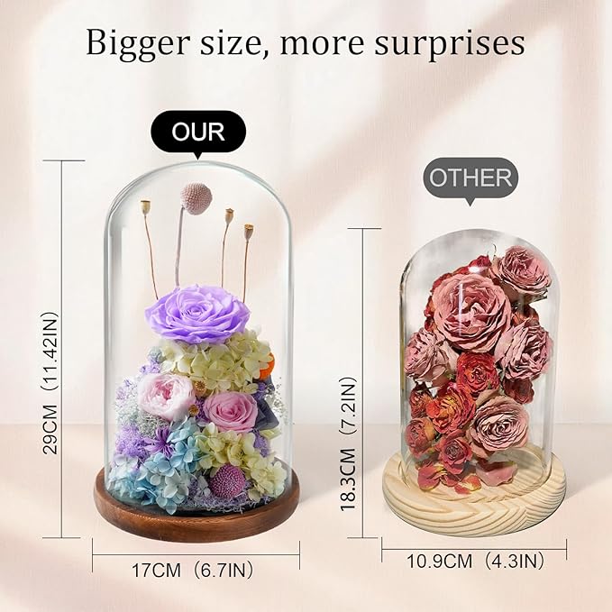 Flowers for Delivery - Forever Flowers Rose in Glass Dome with LED Lights, Large Size Preserved Roses Gifts for Women, Mom, Wife, Friend -Birthday, Anniversary, Valentine's Day Gift (Purple+Pink)