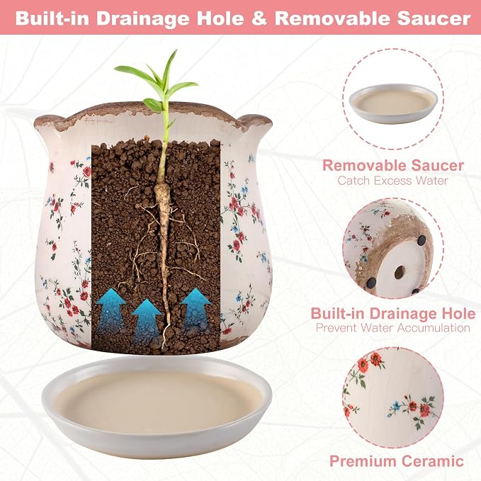 Ceramic-Planters-for-Indoor-Plants with Saucer, 6 inch Vintage Ice Crackle Glaze Plant Pots with Drainage Holes, Decorative Flower Pots for Outdoor Garden Home Decor, Tuscan Pot for Plant