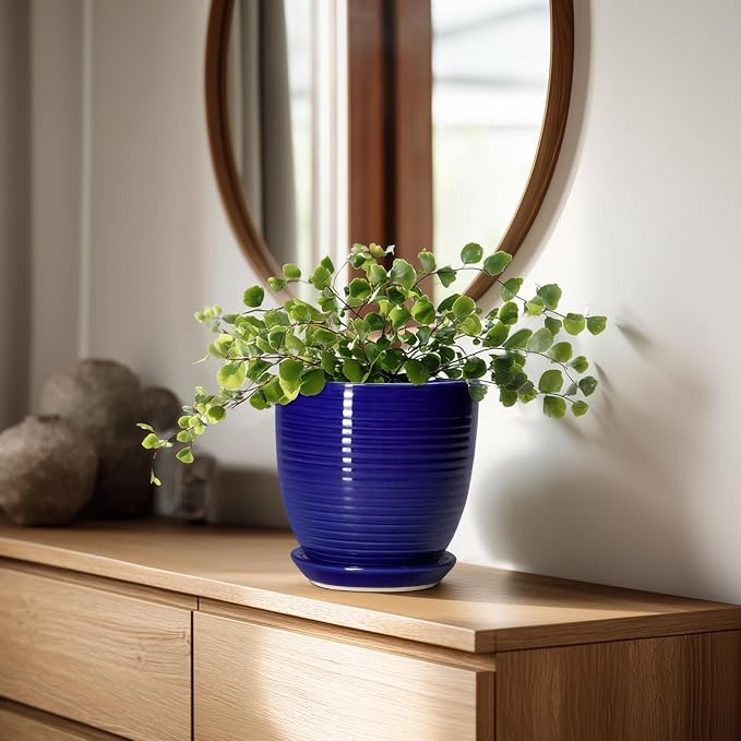 Ceramic Plant Pot - 6 Inch Pots for Plants, Round Ceramic Planters with Drainage Hole and Saucer, Decorative Flower Pots for Indoor Plants, Room Desk Decor, Housewarming Gifts, Glossy Blue