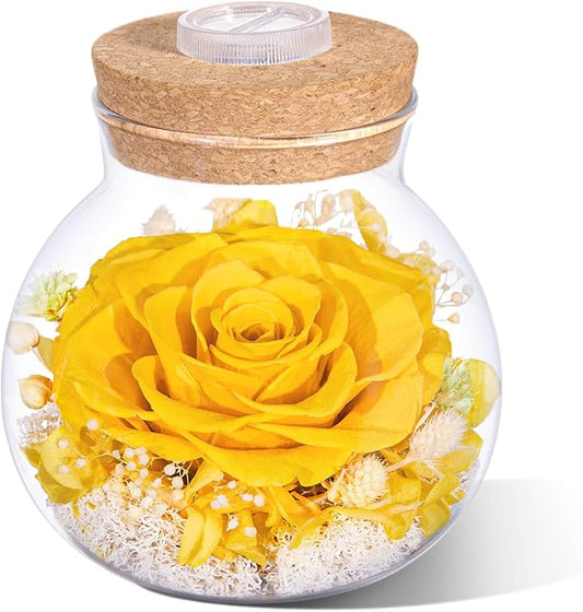 Christmas Birthday Gifts for Women Mom Preserved Rose Eternal Forever Flower in Glass Wishing Bottle with Colorful LED Light Flowers for Delivery Prime for Grandma Wife Sister Friend from Daughter