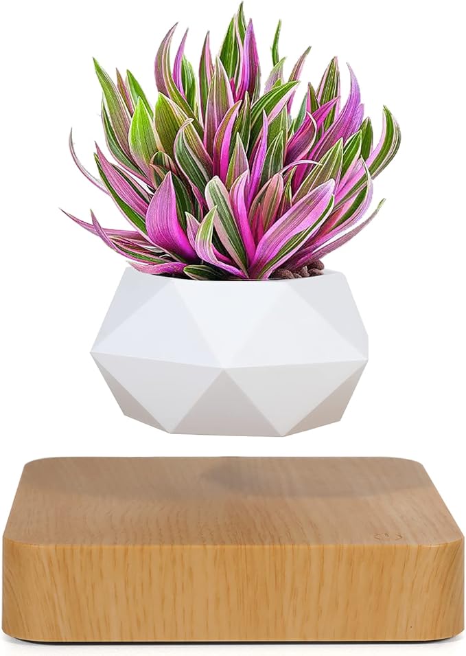 Levitating Air Bonsai Pot, Cool Stuff,Rotation Flower Pot Planters, Potted Plant Home Desk Decor in Flower Pots & Planters from Home & Garden on (Light Color)