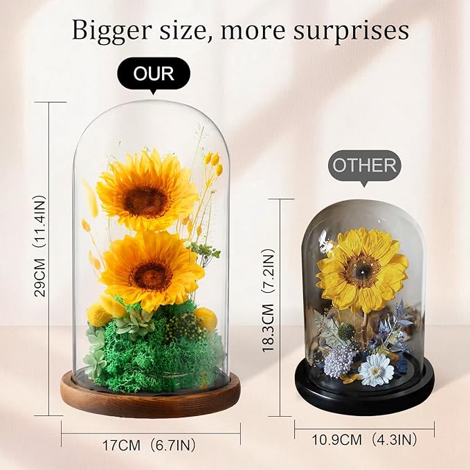 Flowers for Delivery - Forever Flowers Sunflower in Glass Dome with LED Lights, Large Size Preserved Sunflower Gifts for Women, Mom, Wife, Friend -Birthday, Valentine's Day Gift (Sunflower)