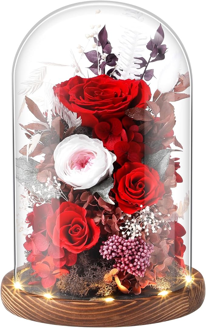 Eternal Rose Rose Red Flower Preserved Long Lasting Stable Color Natural Material Symbol of Everlasting Love for Wife Mothers Select Anniversary Rose Gift Birthday Present Christmas