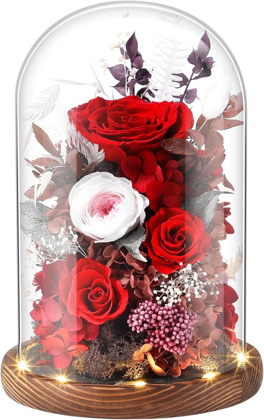 Eternal Rose Rose Red Flower Preserved Long Lasting Stable Color Natural Material Symbol of Everlasting Love for Wife Mothers Select Anniversary Rose Gift Birthday Present Christmas