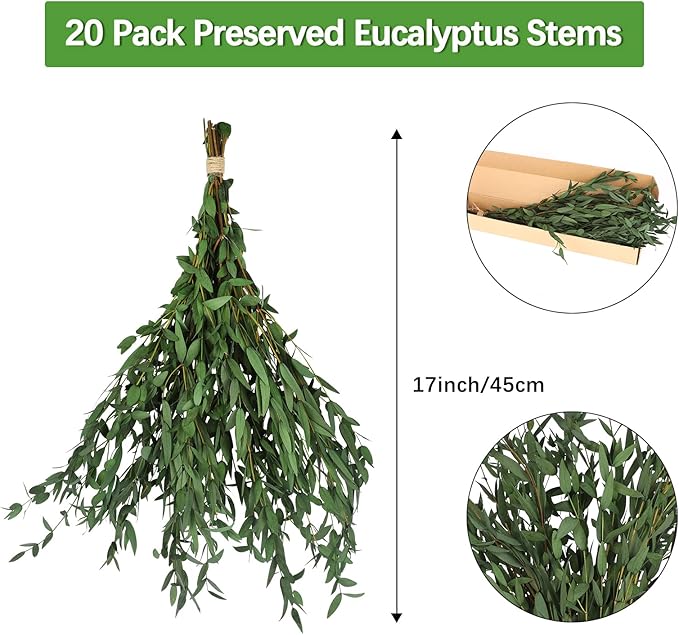 Real Eucalyptus Stems Greenery Decor 20PCS 17" Dried Willow Eucalyptus Plant Preserved Greenery Stems for Home Vase Filler Wedding Flowers Arrangement Spring Decorations