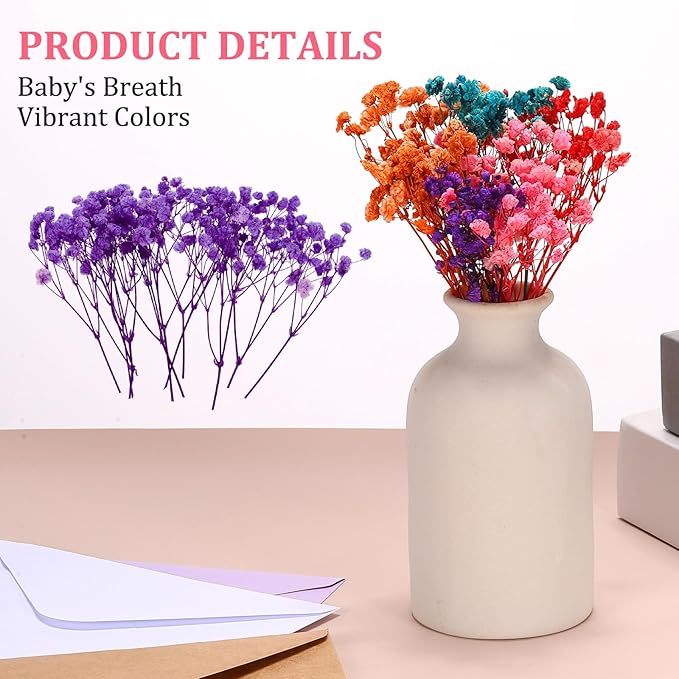 PATIKIL Mini Dried Gypsophila Flower Kit, 30Pcs 4 Inch Rose Purple Natural Pressed Floral Bundles with Tweezer for DIY Resin Crafts Gift Wedding Christmas Card Decor Flower Bouquets