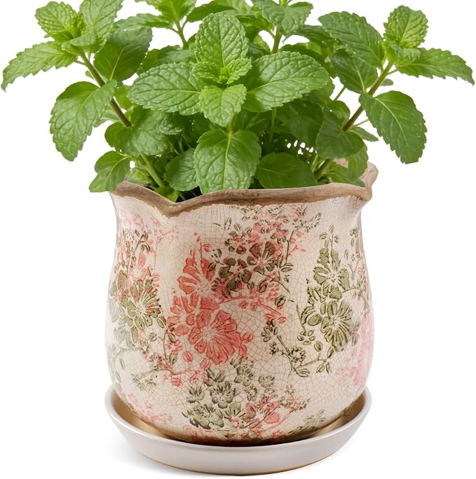 Ceramic-Planters-for-Indoor-Plants with Saucer, 6 inch Vintage Ice Crackle Glaze Plant Pots with Drainage Holes, Decorative Flower Pots for Outdoor Garden Home Decor, Tuscan Pot for Plant