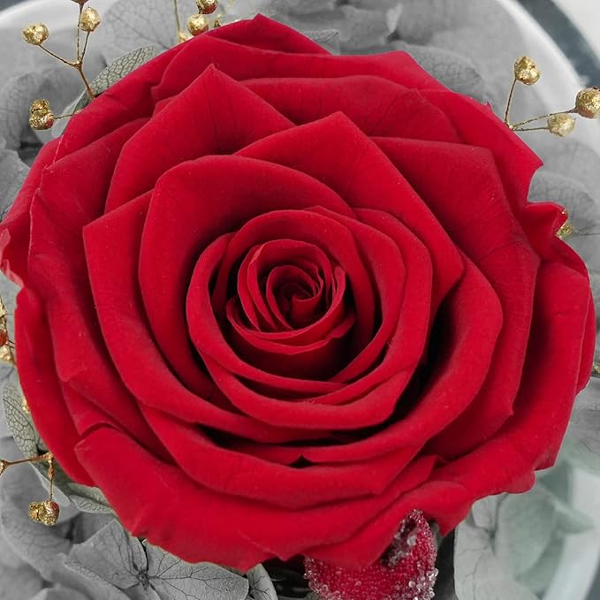 Sunia Preserved Flower Rose Gift for Women - Mother's Day Birthday Gifts for Mom Wife Grandma, Glass Angel Figurines Forever Real Roses Gifts for Her Valentine Day Thanksgiving﻿ (Red)