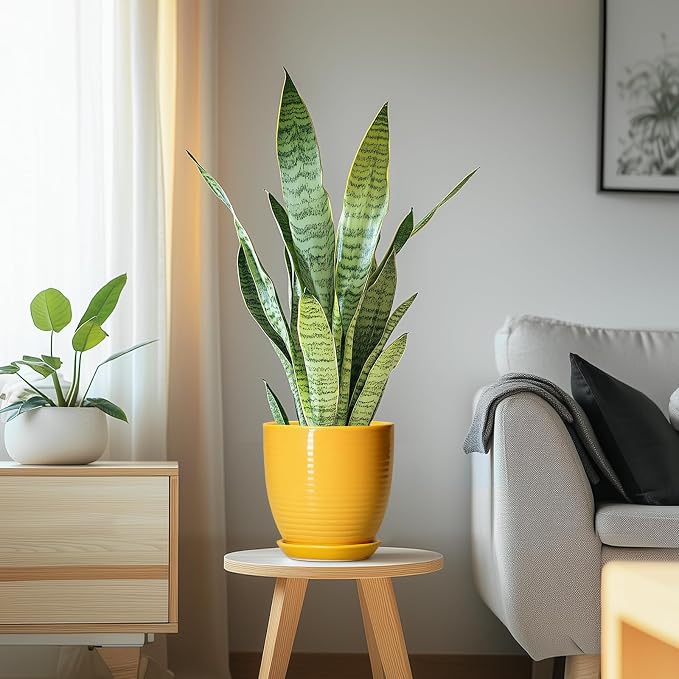 Ceramic Pots for Plants - 6 Inch Plant Pot for Indoor Plants, Ceramic Planter with Drainage Hole and Saucer, Round Decorative Flower Pots, Desk Home Decor, Plant Lover Gifts, Glossy-Yellow