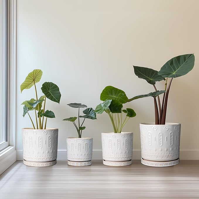Eightpot Ceramic Planter for Indoor Plants - 8 Inch Plant Pot Outdoor Flower Pot with Drainage Holes and Saucer Modern Round Planter Succulent Pot for Home Garden Decor White