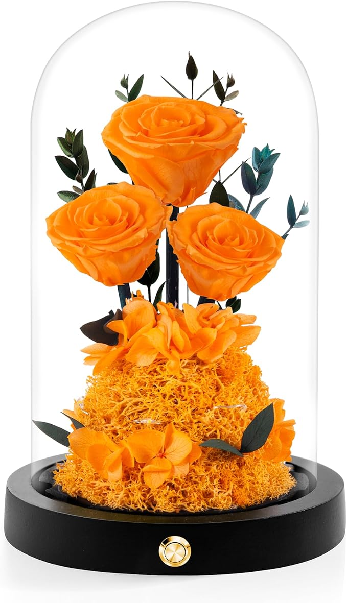 Christmas Flowers Roses Gifts for Mom,Forever Real Preserved Roses in Glass Dome,Christmas Anniversary Thanksgiving Gifts for Wife Girlfriend Women Best Friend Grandma/Orange