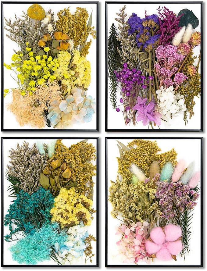 Vignee Real Dried Pressed Leaf Flowers-Multiple Colorful Pressed Flowers Daisies for Craft Resin Jewelry Making Art Craft DIY（Violet）