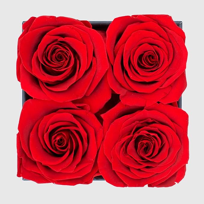 Graceful Fleurs | Real Long Lasting Roses for Years | Preserved Fresh Flowers for Delivery Birthday | Birthday Gifts for Women | Forever Roses in a Box (Red, Black Box, 4 Roses)