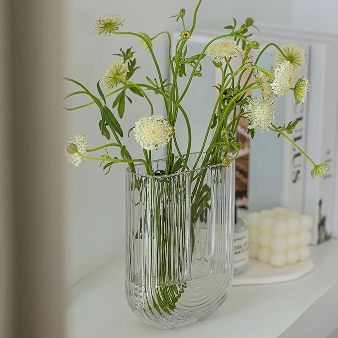 Clear Ribbed Glass Flower Vase, 7" H Modern Small Vase, Ellipse U Shaped Fluted Striped Decorative Vase, Fit for Home Living Room Table Decor (Open:5.11" x 2.36")