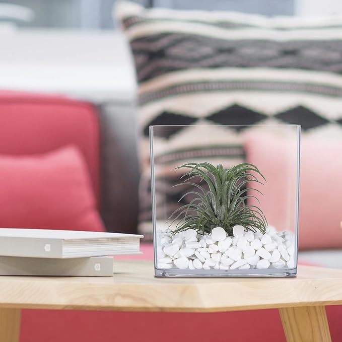 2 Pack Acrylic Cube Vases 5 X 5 Inch, Clear Square Vases, Shatterproof Flower Vase Decorative Centerpiece for Home, Wedding
