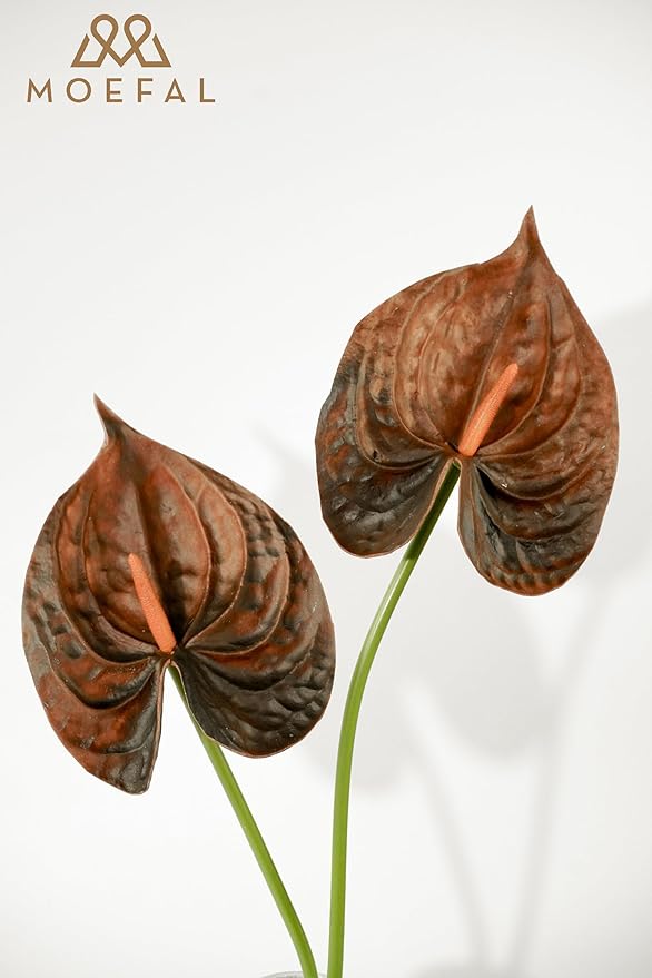 Real Touch Anthurium Artificial Flowers, 8pcs Brown Faux Tropical Flowers with Stems for Boho Wedding Bouquets, Rust Fall Centerpieces & Jungle Party Decoration