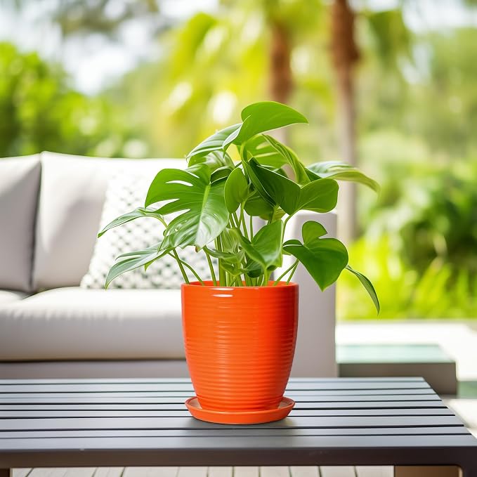 8 Inch Plant Pot, Ceramic Planters for Plants with Drainage and Saucer, Orange