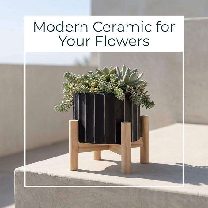 Ceramic Planter with Elevated Stand – Wood Indoor Plant Stand, Display for Greenery, Shelf or Patio Placement – Textured Modern Planter Pot for Elevated Display, Home Decor, Outdoor Decor – 6", Black