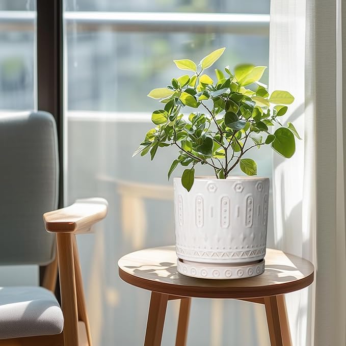 Eightpot Ceramic Planter for Indoor Plants - 8 Inch Plant Pot Outdoor Flower Pot with Drainage Holes and Saucer Modern Round Planter Succulent Pot for Home Garden Decor White