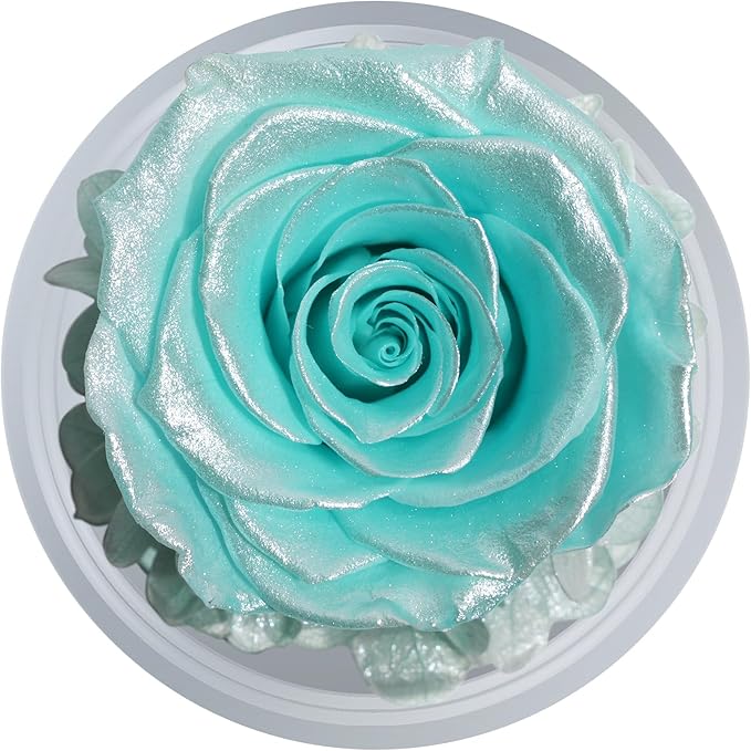 Sunia Preserved Flower Rose Gift for Women - Mother's Day Birthday Gifts for Mom Wife Grandma, Glass Angel Figurines Forever Real Roses Gifts for Her Valentine Day Thanksgiving﻿ (Sparklinga quamarine)