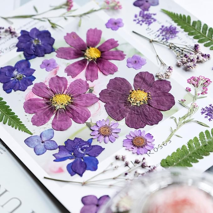 30Pcs Dried Pressed Natural Flowers for Resin Molds Real Pressed Flowers Dry Leaves Bulk Natural Herbs Kit for DIY Scrapbooking Art Crafts Jewelry Molds Candle Soap Making Nails Decor (Purple)