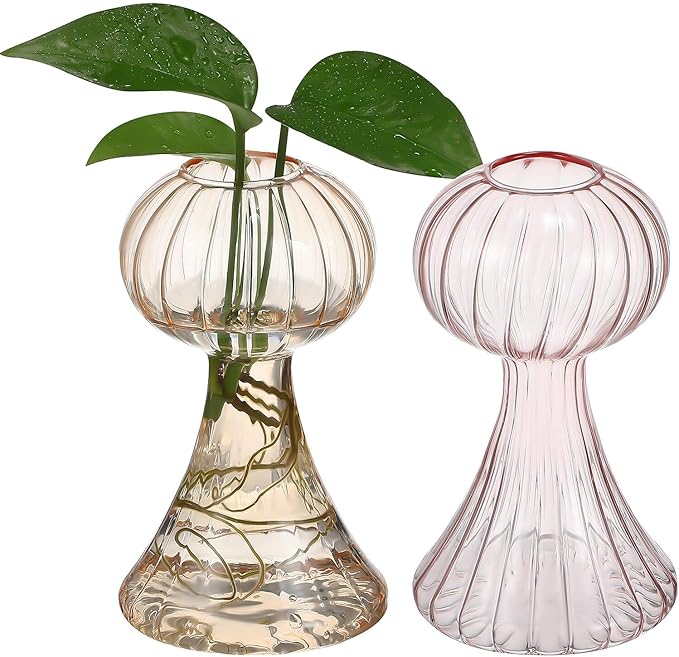 VANZACK 2Pcs Vintage Handblown Glass Pumpkin Vase Small Clear Flower Pots in Pink and Light Orange for Home Kitchen Office Decor Cute Wide-Mouth Design Smooth Surface Easy to Clean